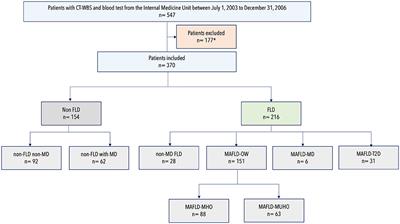 Cardiometabolic characterization in metabolic dysfunction–associated fatty liver disease